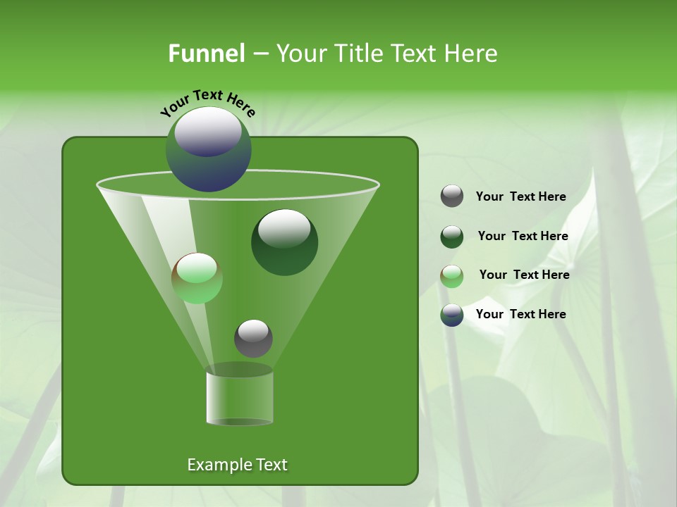 Background Waterlily Nelumbo_Nucifera PowerPoint Template