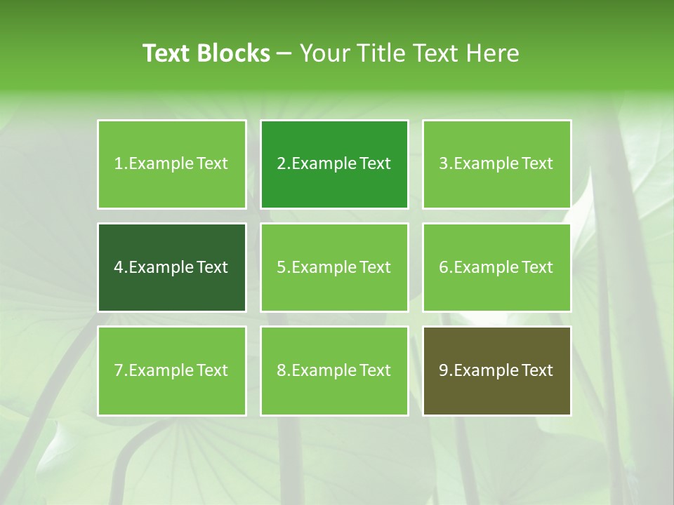 Background Waterlily Nelumbo_Nucifera PowerPoint Template