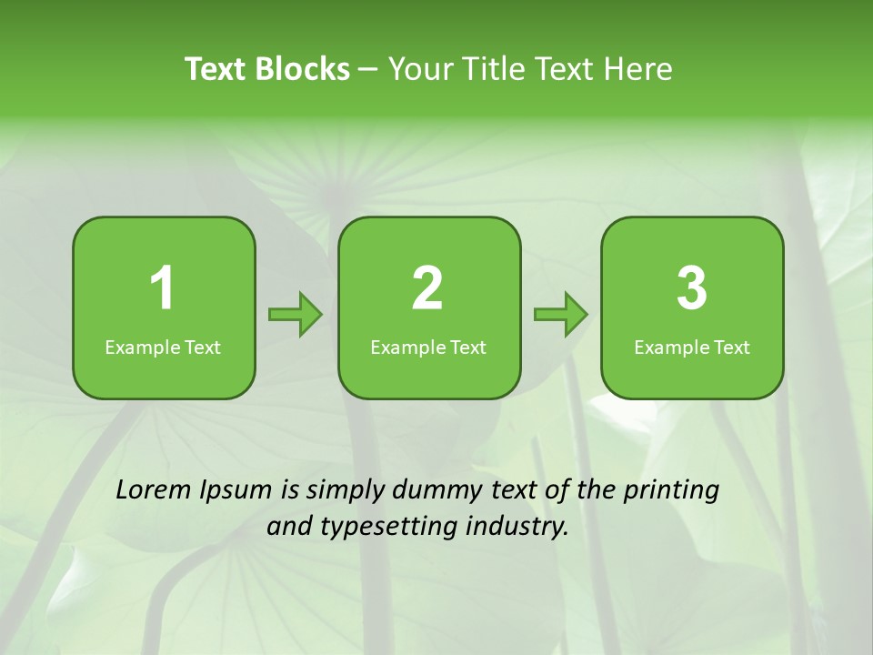 Background Waterlily Nelumbo_Nucifera PowerPoint Template