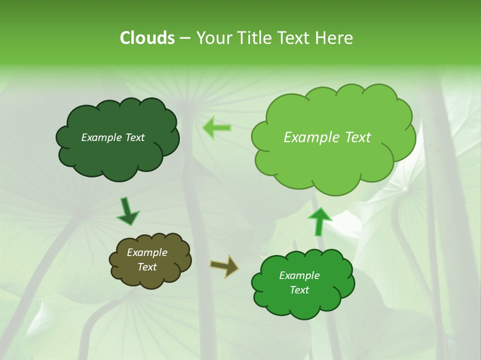 Background Waterlily Nelumbo_Nucifera PowerPoint Template