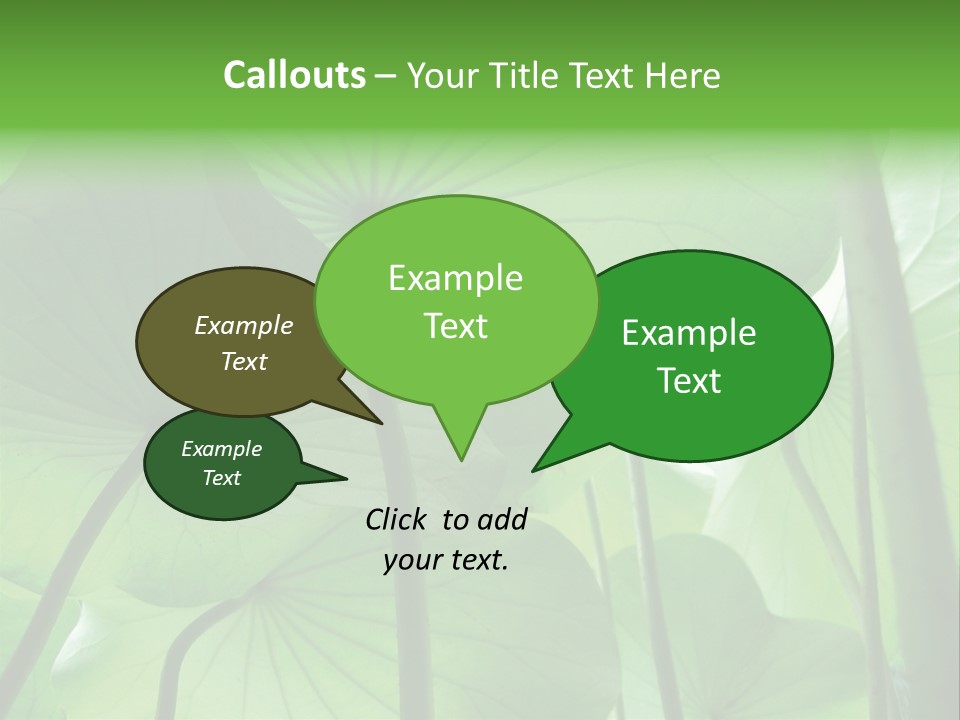 Background Waterlily Nelumbo_Nucifera PowerPoint Template