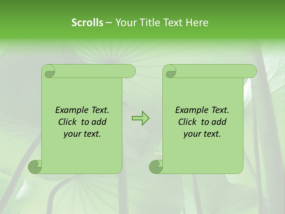 Background Waterlily Nelumbo_Nucifera PowerPoint Template
