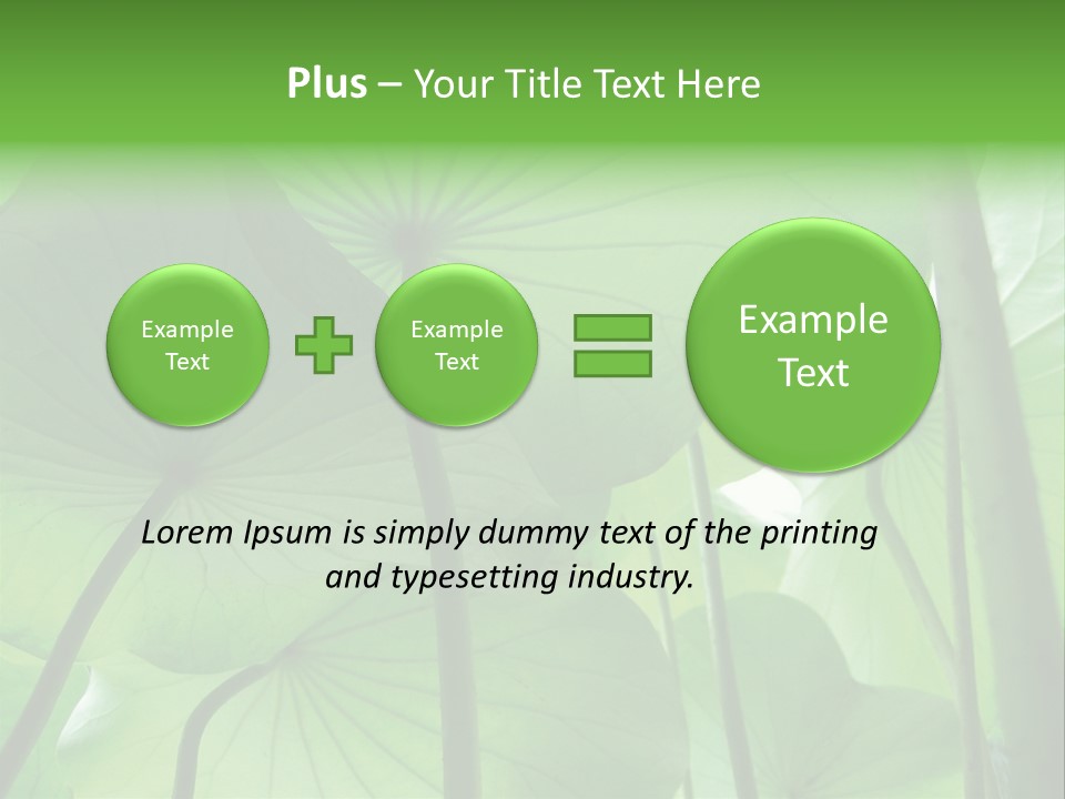 Background Waterlily Nelumbo_Nucifera PowerPoint Template