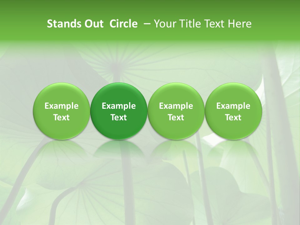 Background Waterlily Nelumbo_Nucifera PowerPoint Template