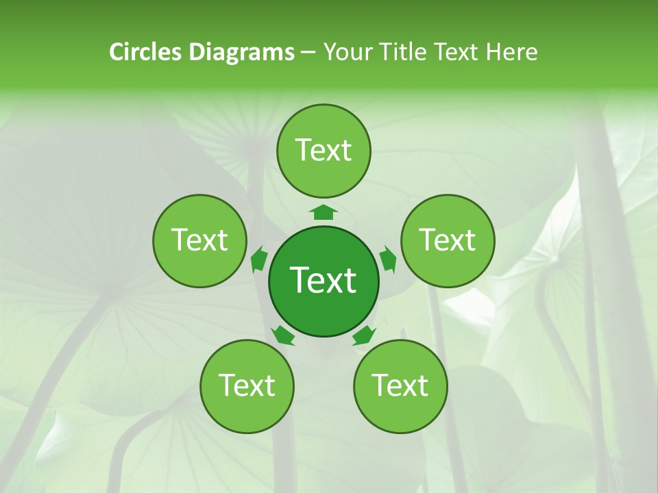 Background Waterlily Nelumbo_Nucifera PowerPoint Template