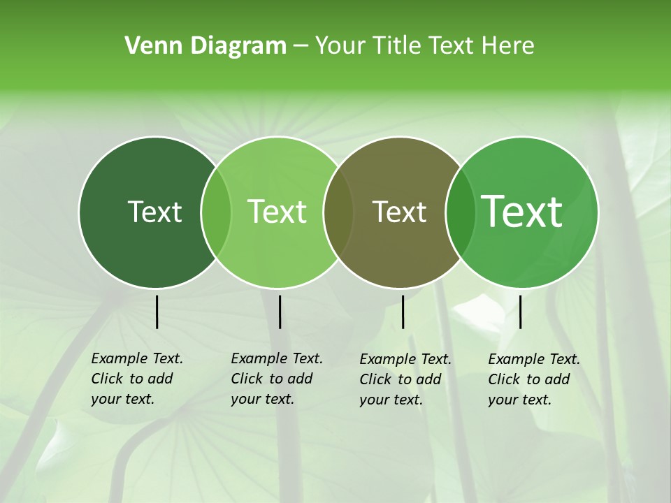 Background Waterlily Nelumbo_Nucifera PowerPoint Template