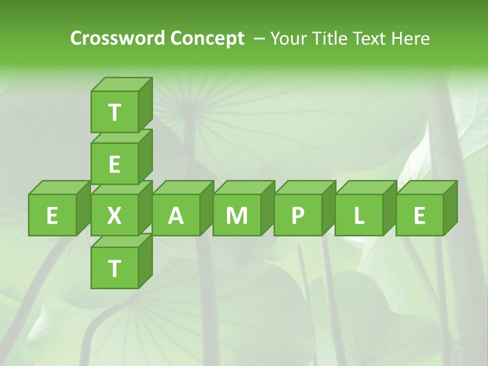 Background Waterlily Nelumbo_Nucifera PowerPoint Template