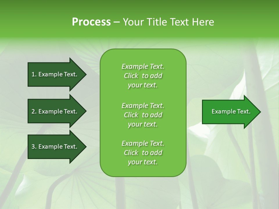 Background Waterlily Nelumbo_Nucifera PowerPoint Template