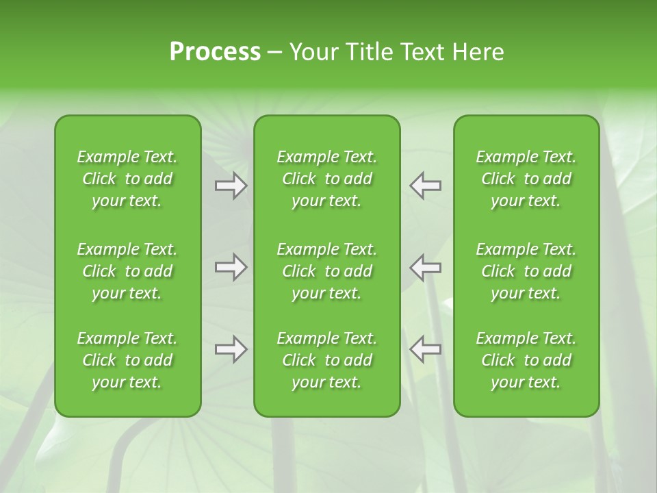 Background Waterlily Nelumbo_Nucifera PowerPoint Template