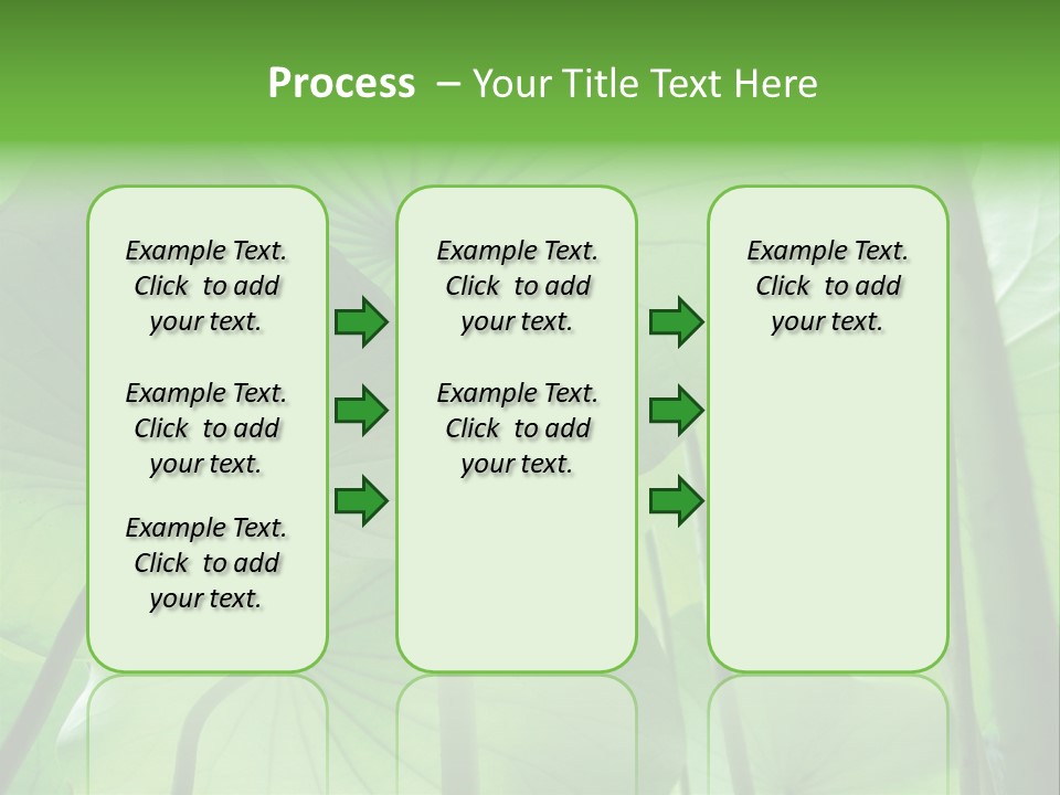 Background Waterlily Nelumbo_Nucifera PowerPoint Template