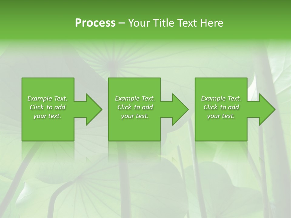 Background Waterlily Nelumbo_Nucifera PowerPoint Template