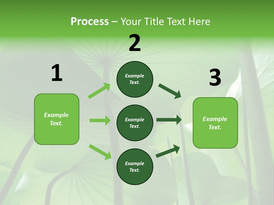 Background Waterlily Nelumbo_Nucifera PowerPoint Template