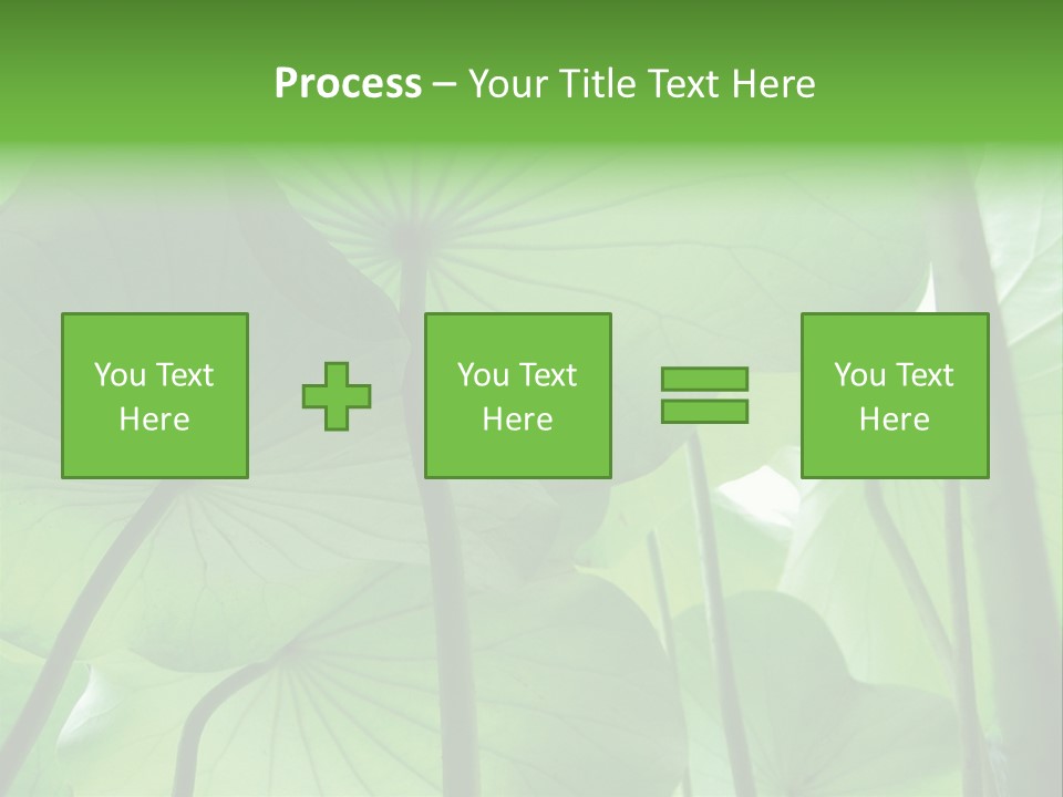 Background Waterlily Nelumbo_Nucifera PowerPoint Template