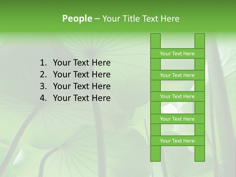 Background Waterlily Nelumbo_Nucifera PowerPoint Template