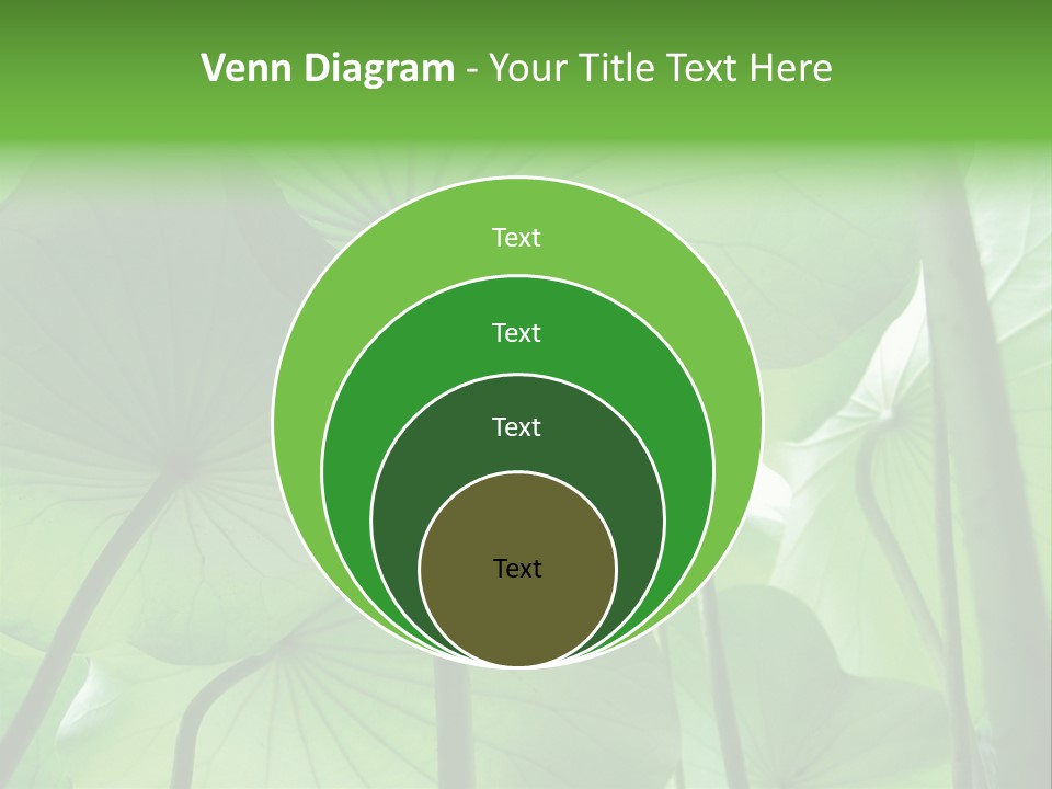 Background Waterlily Nelumbo_Nucifera PowerPoint Template