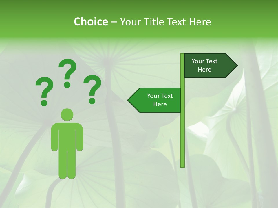 Background Waterlily Nelumbo_Nucifera PowerPoint Template