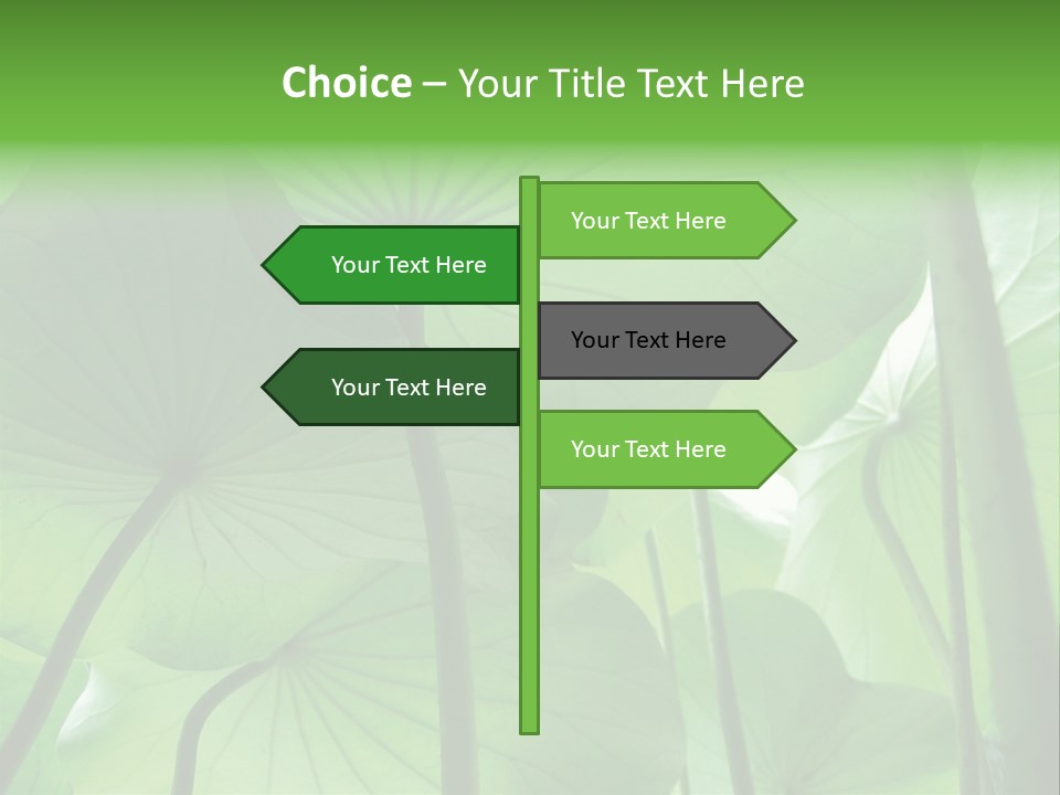 Background Waterlily Nelumbo_Nucifera PowerPoint Template