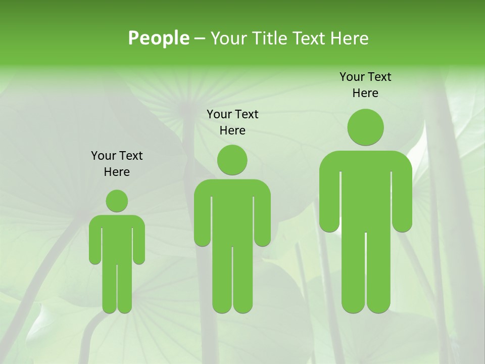 Background Waterlily Nelumbo_Nucifera PowerPoint Template