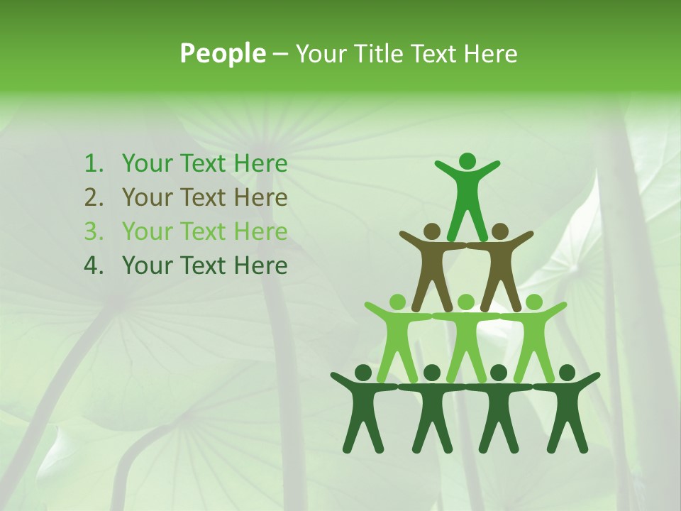 Background Waterlily Nelumbo_Nucifera PowerPoint Template