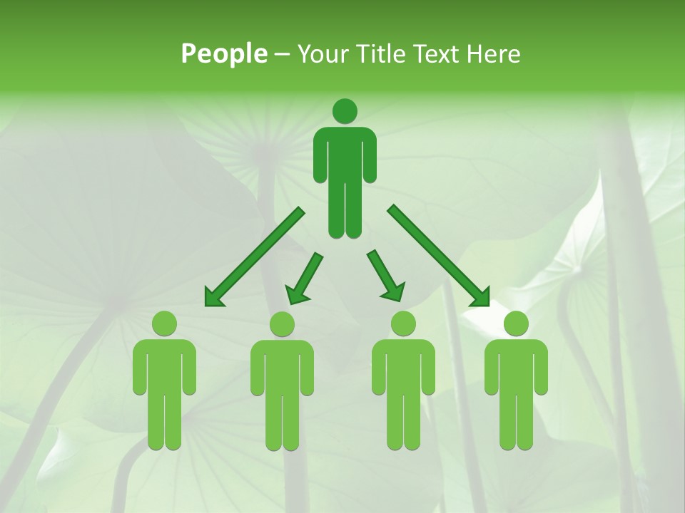 Background Waterlily Nelumbo_Nucifera PowerPoint Template