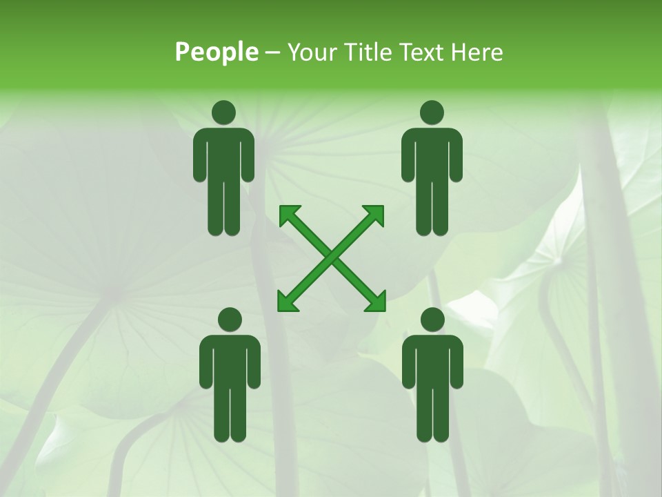 Background Waterlily Nelumbo_Nucifera PowerPoint Template