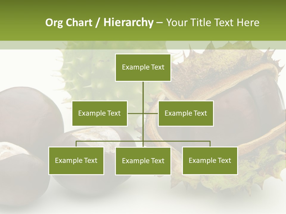 Background Brown Prickle PowerPoint Template