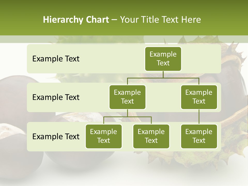 Background Brown Prickle PowerPoint Template