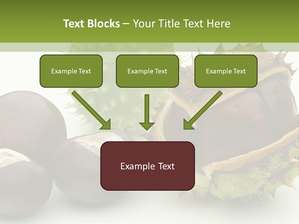 Background Brown Prickle PowerPoint Template