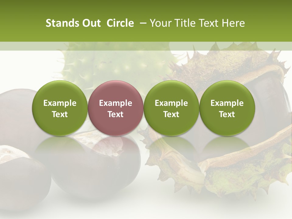 Background Brown Prickle PowerPoint Template