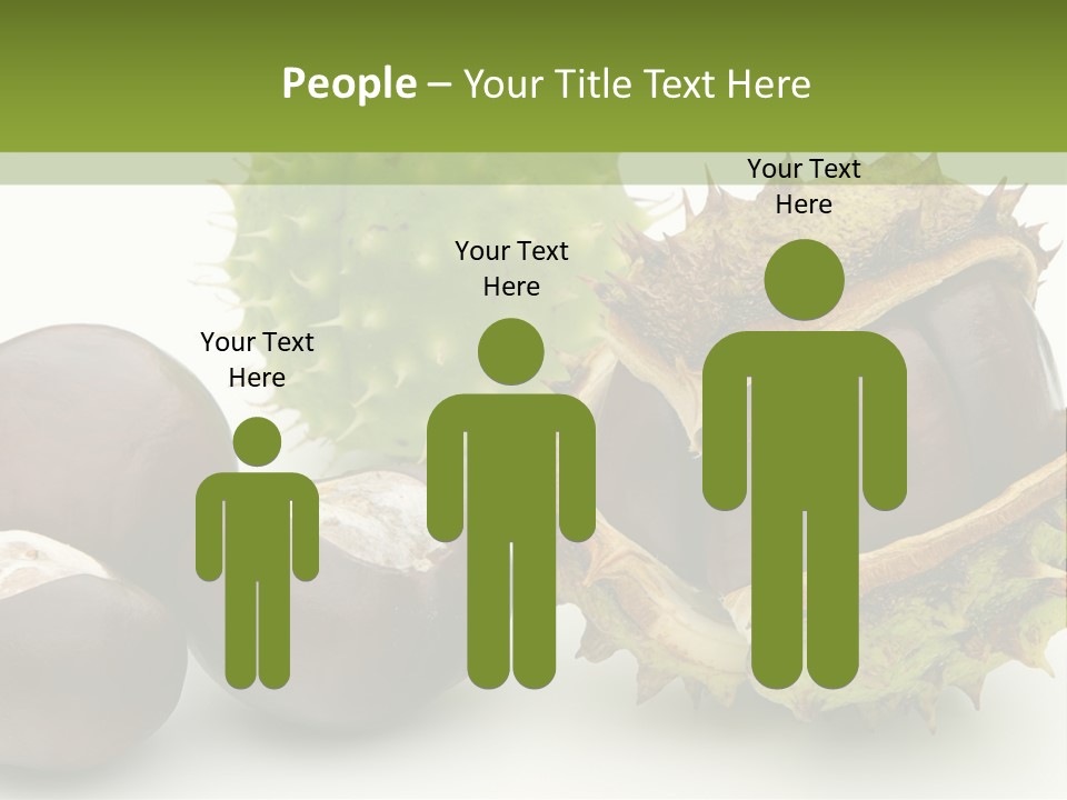 Background Brown Prickle PowerPoint Template