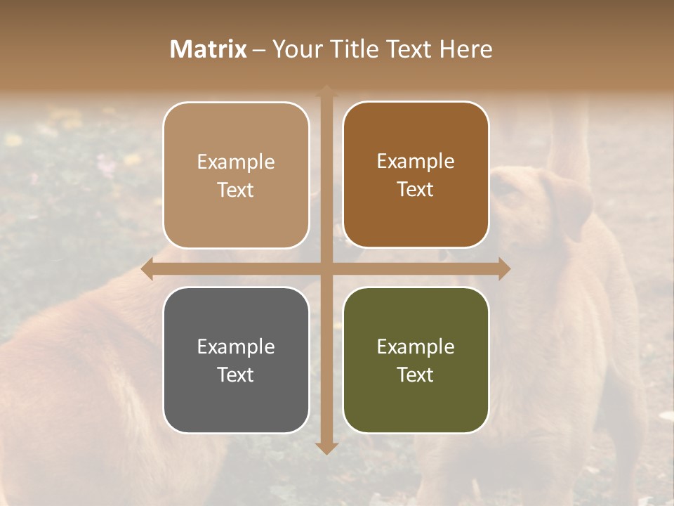 Spill Glass Lager PowerPoint Template