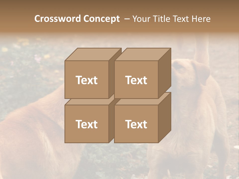 Spill Glass Lager PowerPoint Template