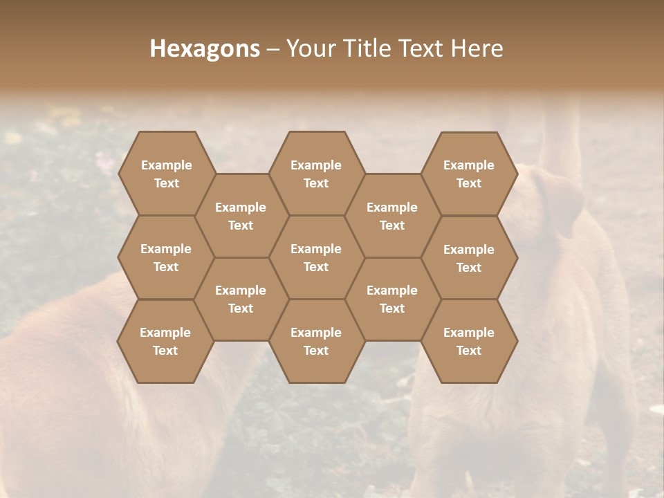 Spill Glass Lager PowerPoint Template