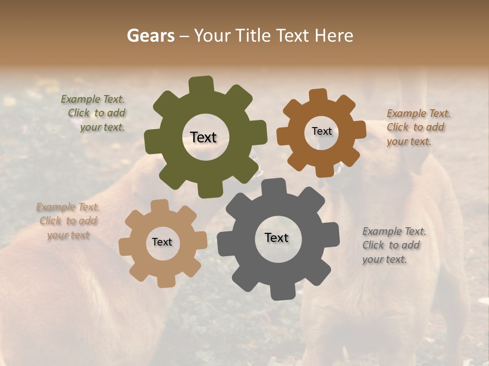 Spill Glass Lager PowerPoint Template