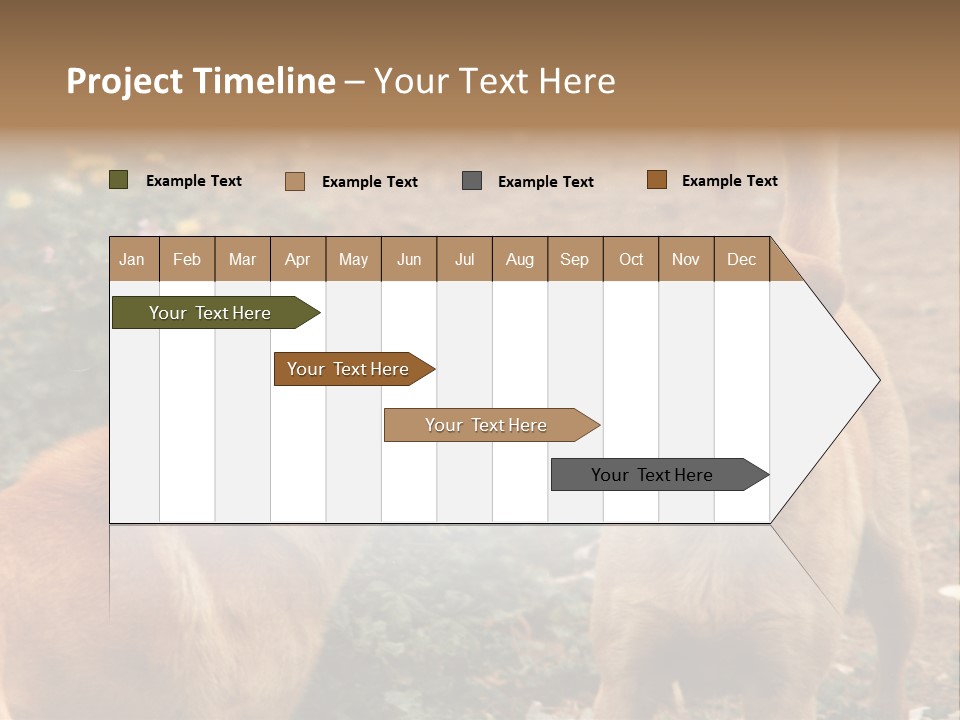 Spill Glass Lager PowerPoint Template