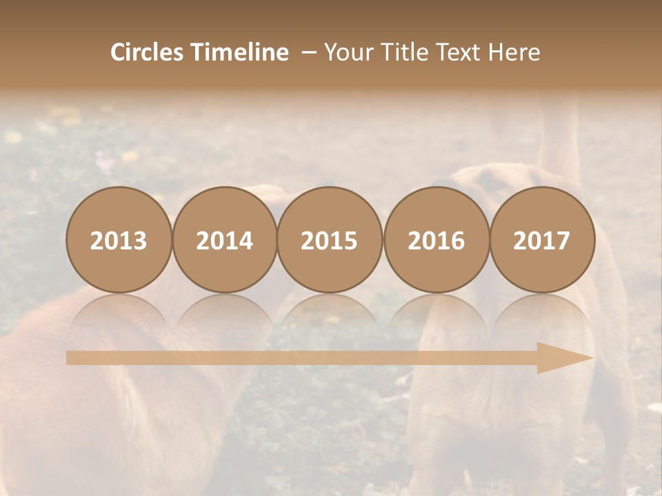 Spill Glass Lager PowerPoint Template