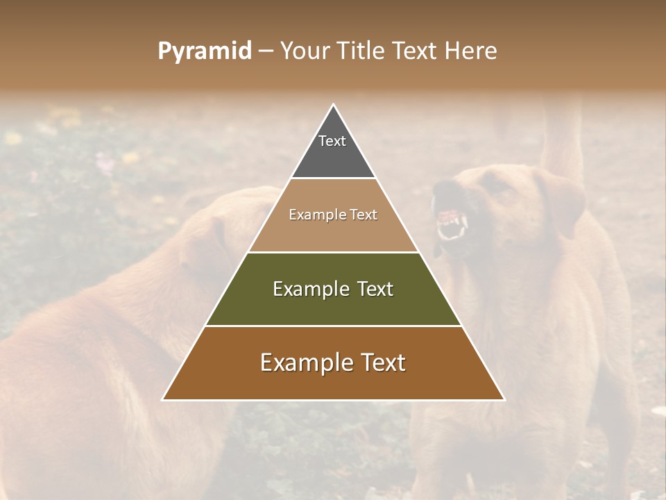 Spill Glass Lager PowerPoint Template