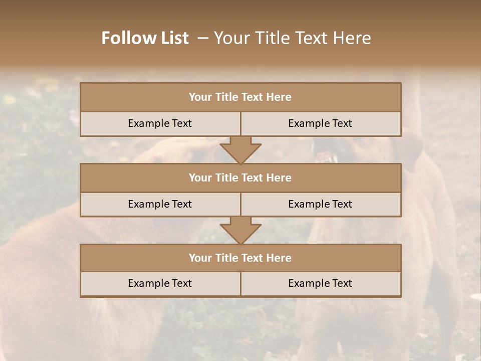 Spill Glass Lager PowerPoint Template