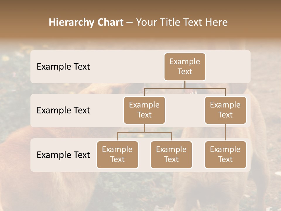 Spill Glass Lager PowerPoint Template