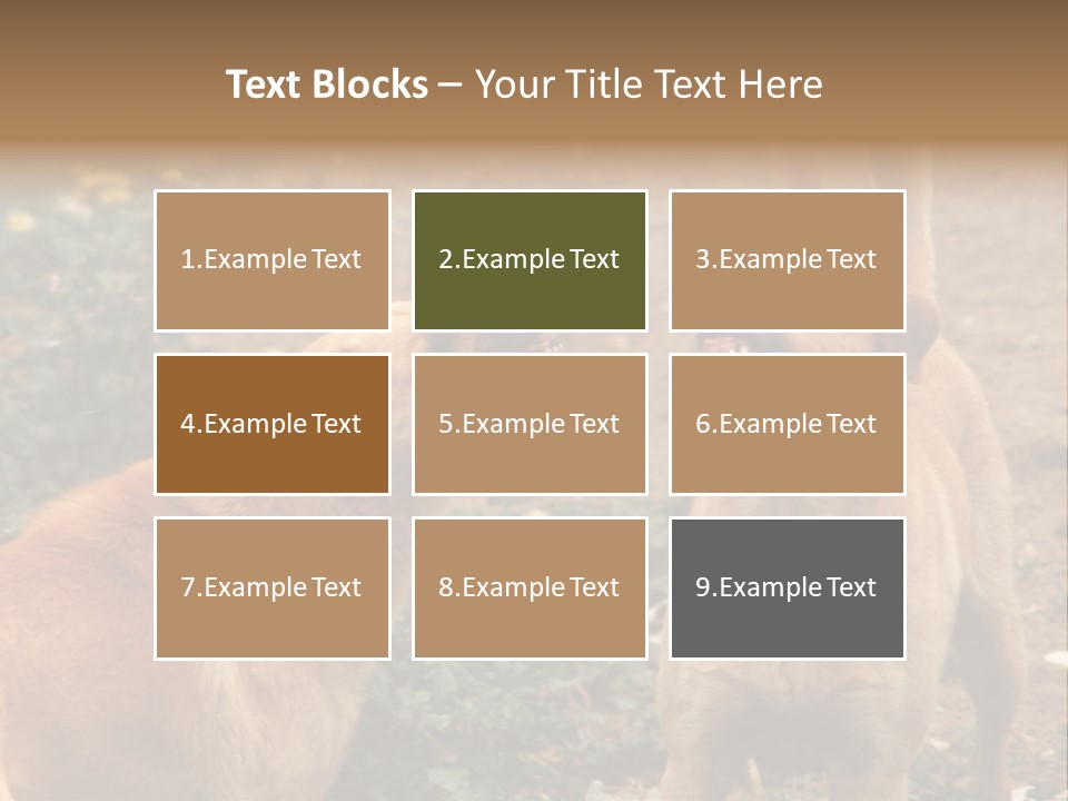 Spill Glass Lager PowerPoint Template
