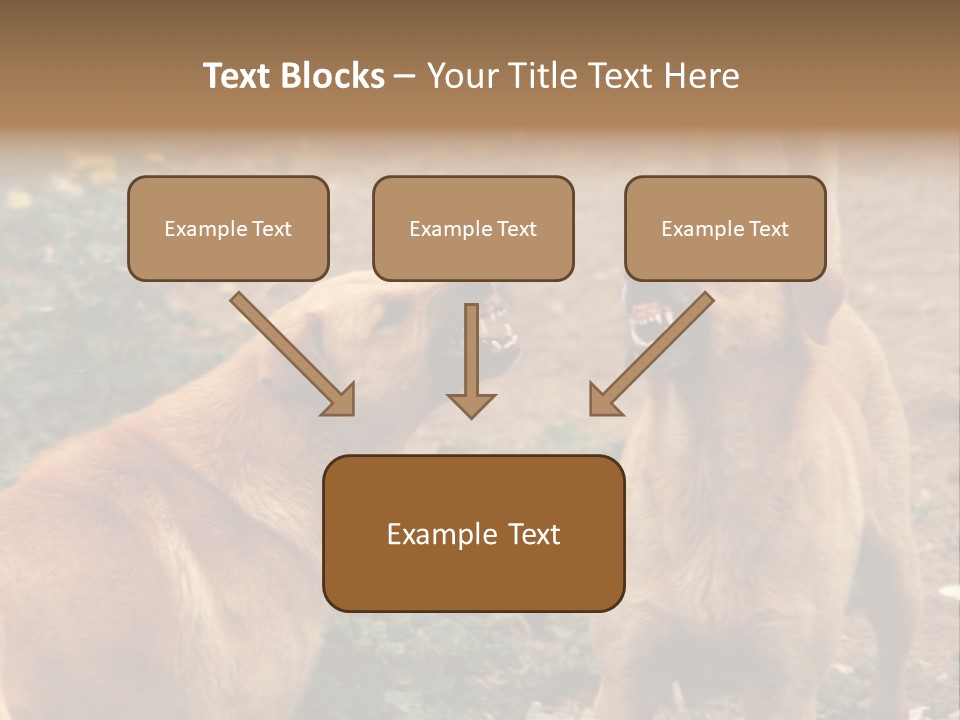 Spill Glass Lager PowerPoint Template