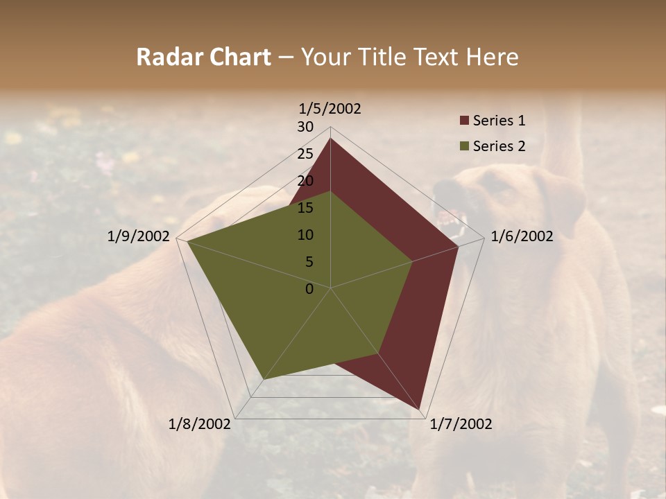 Spill Glass Lager PowerPoint Template