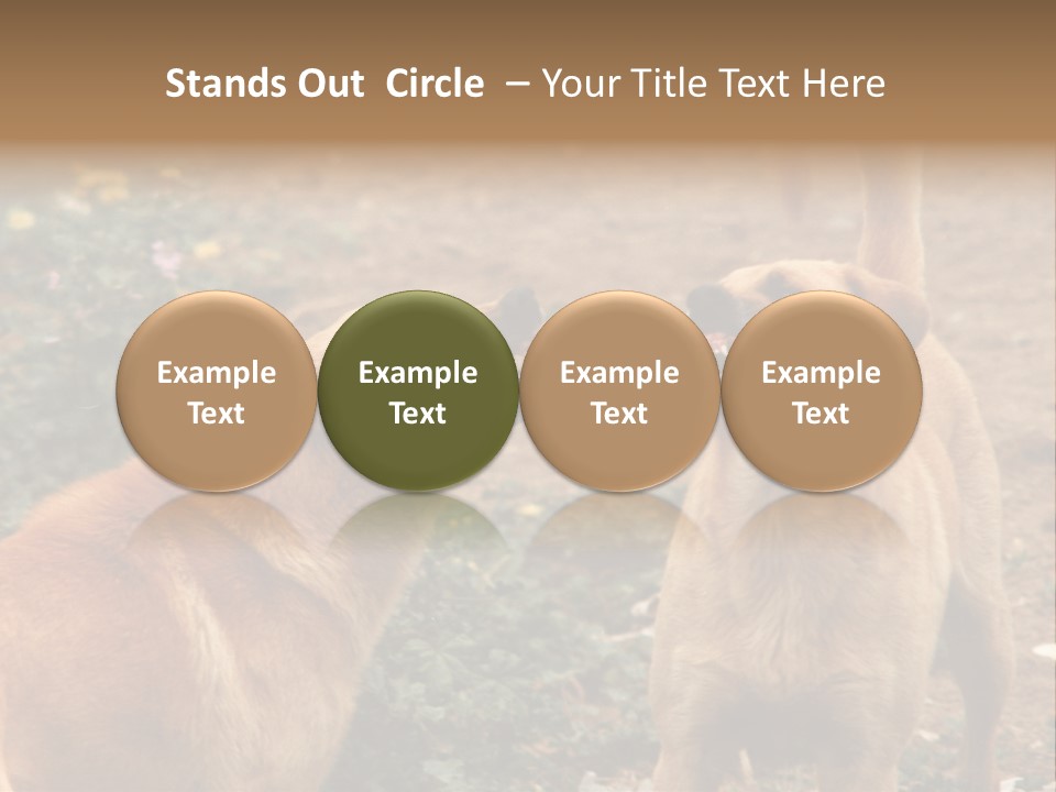 Spill Glass Lager PowerPoint Template