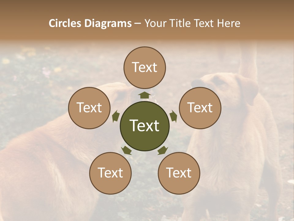 Spill Glass Lager PowerPoint Template