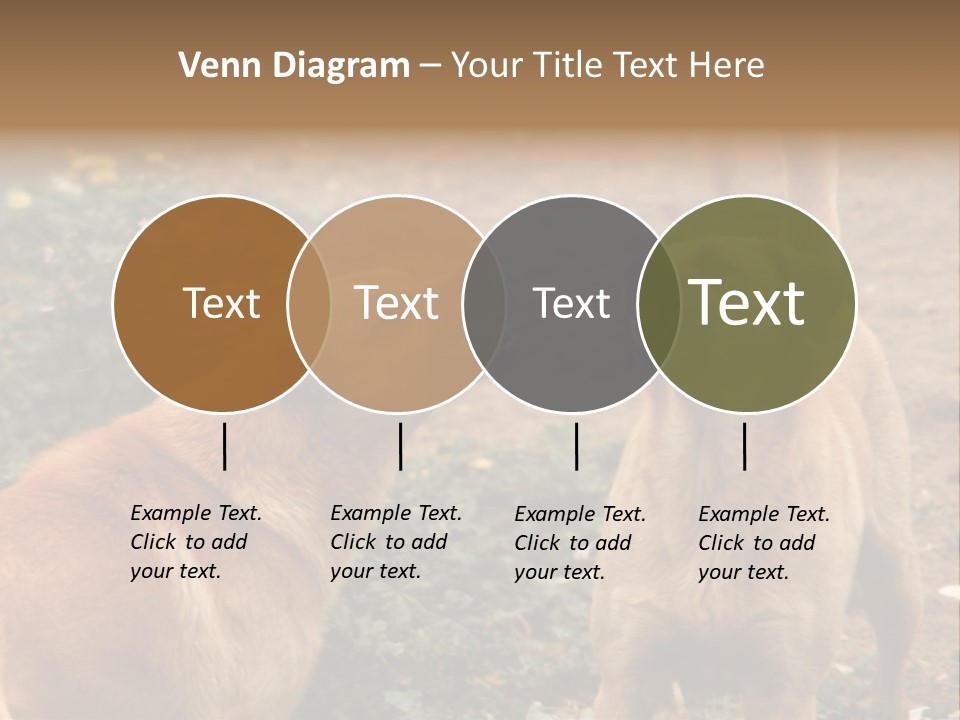 Spill Glass Lager PowerPoint Template