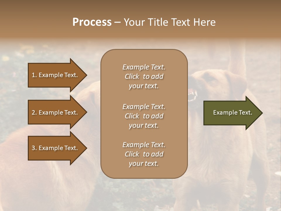 Spill Glass Lager PowerPoint Template