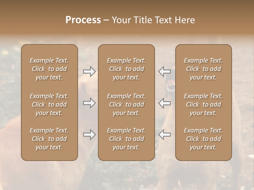 Spill Glass Lager PowerPoint Template