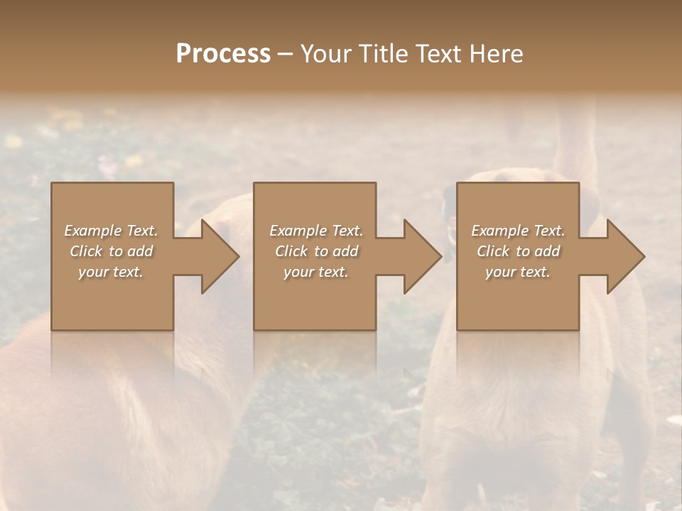 Spill Glass Lager PowerPoint Template