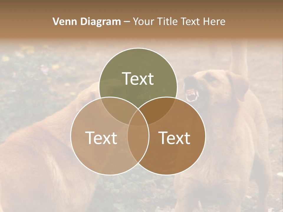 Spill Glass Lager PowerPoint Template