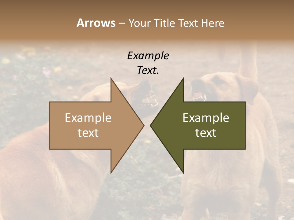 Spill Glass Lager PowerPoint Template